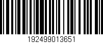 Código de barras (EAN, GTIN, SKU, ISBN): '192499013651'