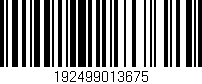 Código de barras (EAN, GTIN, SKU, ISBN): '192499013675'