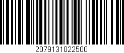 Código de barras (EAN, GTIN, SKU, ISBN): '2079131022500'