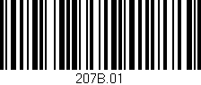Código de barras (EAN, GTIN, SKU, ISBN): '207B.01'
