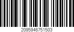 Código de barras (EAN, GTIN, SKU, ISBN): '2095946751503'