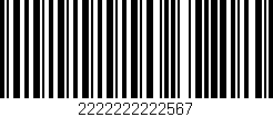 Código de barras (EAN, GTIN, SKU, ISBN): '2222222222567'