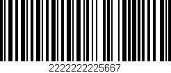 Código de barras (EAN, GTIN, SKU, ISBN): '2222222225667'