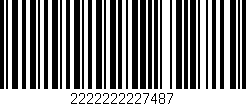 Código de barras (EAN, GTIN, SKU, ISBN): '2222222227487'