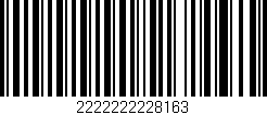 Código de barras (EAN, GTIN, SKU, ISBN): '2222222228163'