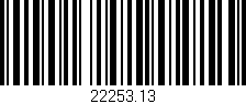 Código de barras (EAN, GTIN, SKU, ISBN): '22253.13'