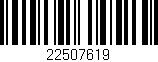 Código de barras (EAN, GTIN, SKU, ISBN): '22507619'