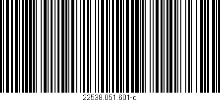 Código de barras (EAN, GTIN, SKU, ISBN): '22538.051.601-g'