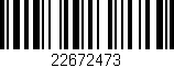 Código de barras (EAN, GTIN, SKU, ISBN): '22672473'