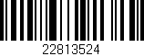 Código de barras (EAN, GTIN, SKU, ISBN): '22813524'