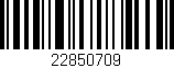 Código de barras (EAN, GTIN, SKU, ISBN): '22850709'