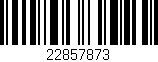 Código de barras (EAN, GTIN, SKU, ISBN): '22857873'