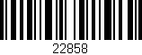 Código de barras (EAN, GTIN, SKU, ISBN): '22858'