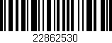 Código de barras (EAN, GTIN, SKU, ISBN): '22862530'