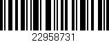 Código de barras (EAN, GTIN, SKU, ISBN): '22958731'
