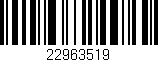 Código de barras (EAN, GTIN, SKU, ISBN): '22963519'