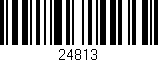 Código de barras (EAN, GTIN, SKU, ISBN): '24813'