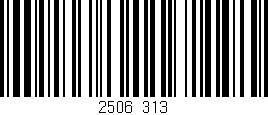 Código de barras (EAN, GTIN, SKU, ISBN): '2506/313'