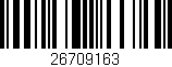 Código de barras (EAN, GTIN, SKU, ISBN): '26709163'