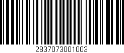 Código de barras (EAN, GTIN, SKU, ISBN): '2837073001003'