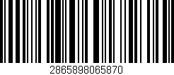 Código de barras (EAN, GTIN, SKU, ISBN): '2865898065870'