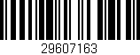 Código de barras (EAN, GTIN, SKU, ISBN): '29607163'