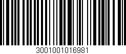 Código de barras (EAN, GTIN, SKU, ISBN): '3001001016981'
