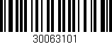 Código de barras (EAN, GTIN, SKU, ISBN): '30063101'