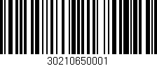 Código de barras (EAN, GTIN, SKU, ISBN): '30210650001'