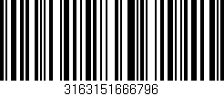 Código de barras (EAN, GTIN, SKU, ISBN): '3163151666796'