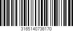 Código de barras (EAN, GTIN, SKU, ISBN): '3165140738170'
