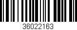 Código de barras (EAN, GTIN, SKU, ISBN): '36022163'