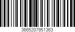Código de barras (EAN, GTIN, SKU, ISBN): '3665207951363'