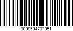 Código de barras (EAN, GTIN, SKU, ISBN): '3839534787951'