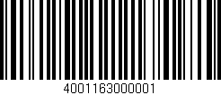 Código de barras (EAN, GTIN, SKU, ISBN): '4001163000001'