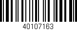 Código de barras (EAN, GTIN, SKU, ISBN): '40107163'