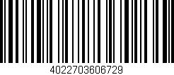Código de barras (EAN, GTIN, SKU, ISBN): '4022703606729'