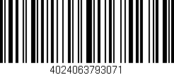 Código de barras (EAN, GTIN, SKU, ISBN): '4024063793071'
