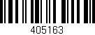 Código de barras (EAN, GTIN, SKU, ISBN): '405163'