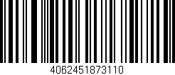 Código de barras (EAN, GTIN, SKU, ISBN): '4062451873110'