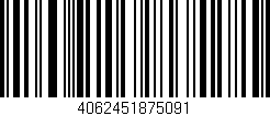 Código de barras (EAN, GTIN, SKU, ISBN): '4062451875091'