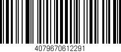 Código de barras (EAN, GTIN, SKU, ISBN): '4079670612291'
