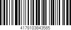 Código de barras (EAN, GTIN, SKU, ISBN): '4179103843565'