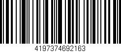 Código de barras (EAN, GTIN, SKU, ISBN): '4197374692163'