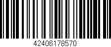 Código de barras (EAN, GTIN, SKU, ISBN): '42406178570'
