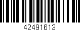 Código de barras (EAN, GTIN, SKU, ISBN): '42491613'