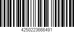 Código de barras (EAN, GTIN, SKU, ISBN): '4250223666491'