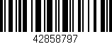 Código de barras (EAN, GTIN, SKU, ISBN): '42858797'