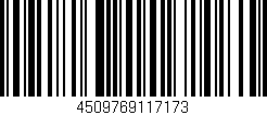 Código de barras (EAN, GTIN, SKU, ISBN): '4509769117173'
