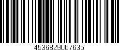 Código de barras (EAN, GTIN, SKU, ISBN): '4536829067635'